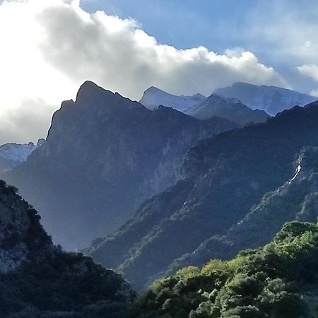 El Chalet De La Poza - Rio, Barbacoa, Wifi, Zona De Trabajo, Vistas. Lebena 외부 사진
